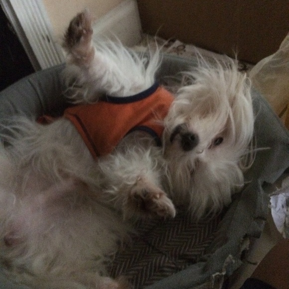 Meet your Posher, Bryant - Picture 1 of 1